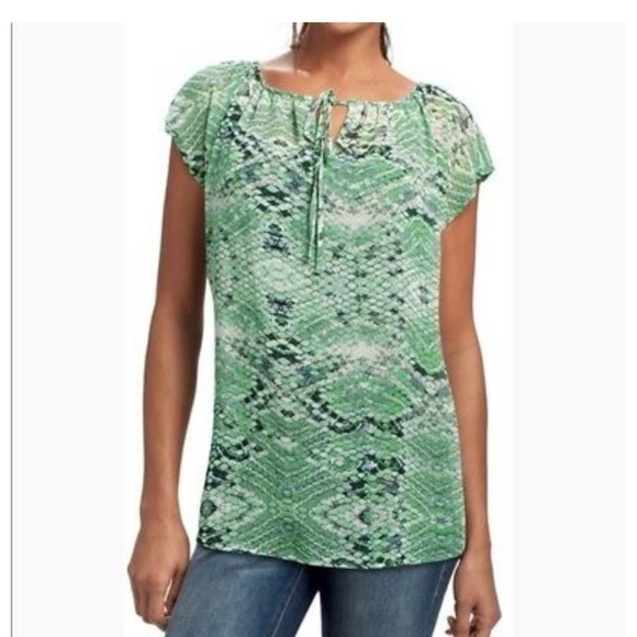 CAbi #746 Darby Sheer snakeskin Size large top - Picture 1 of 8